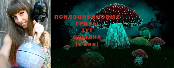 а пвп мука Покачи